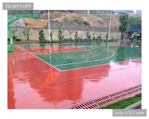 海南村村有球场传统延续，椰林海滩成天然排球训练场